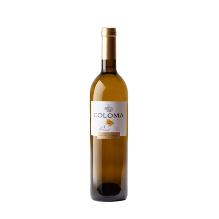 Coloma Muscat Seco
