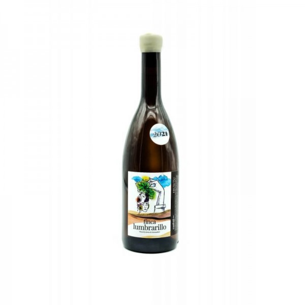 Finca Lumbrarillo