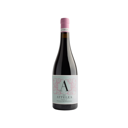 Attelea Tinto Roble - 6,50...