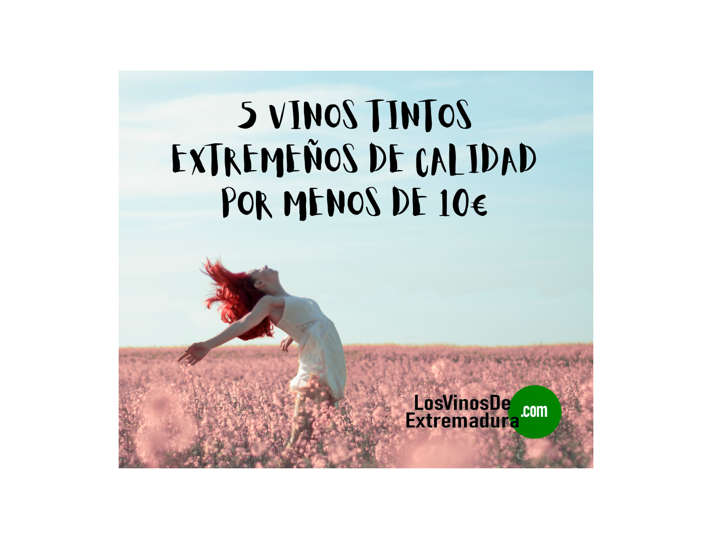 5 VINOS TINTOS EXTREMEÑOS DE CALIDAD POR MENOS DE 10 €.