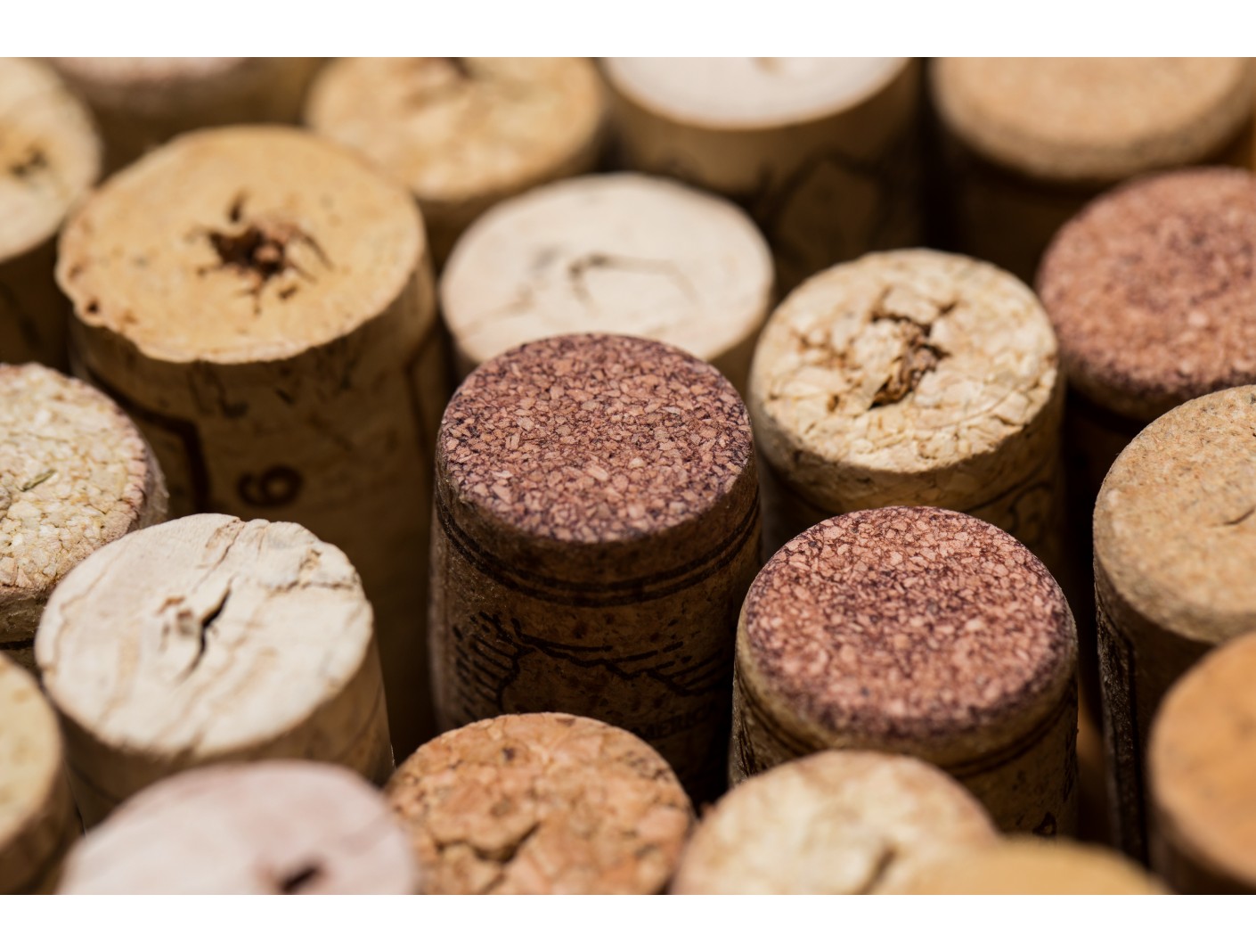 El Tapón de Corcho en el Vino y la Contribución de Extremadura