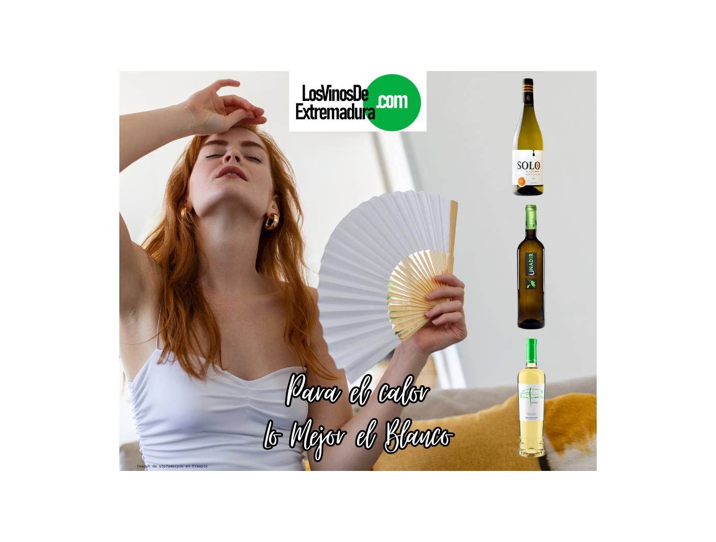 El Arte de Elaborar Vino Blanco: Desde la Uva Hasta la Copa