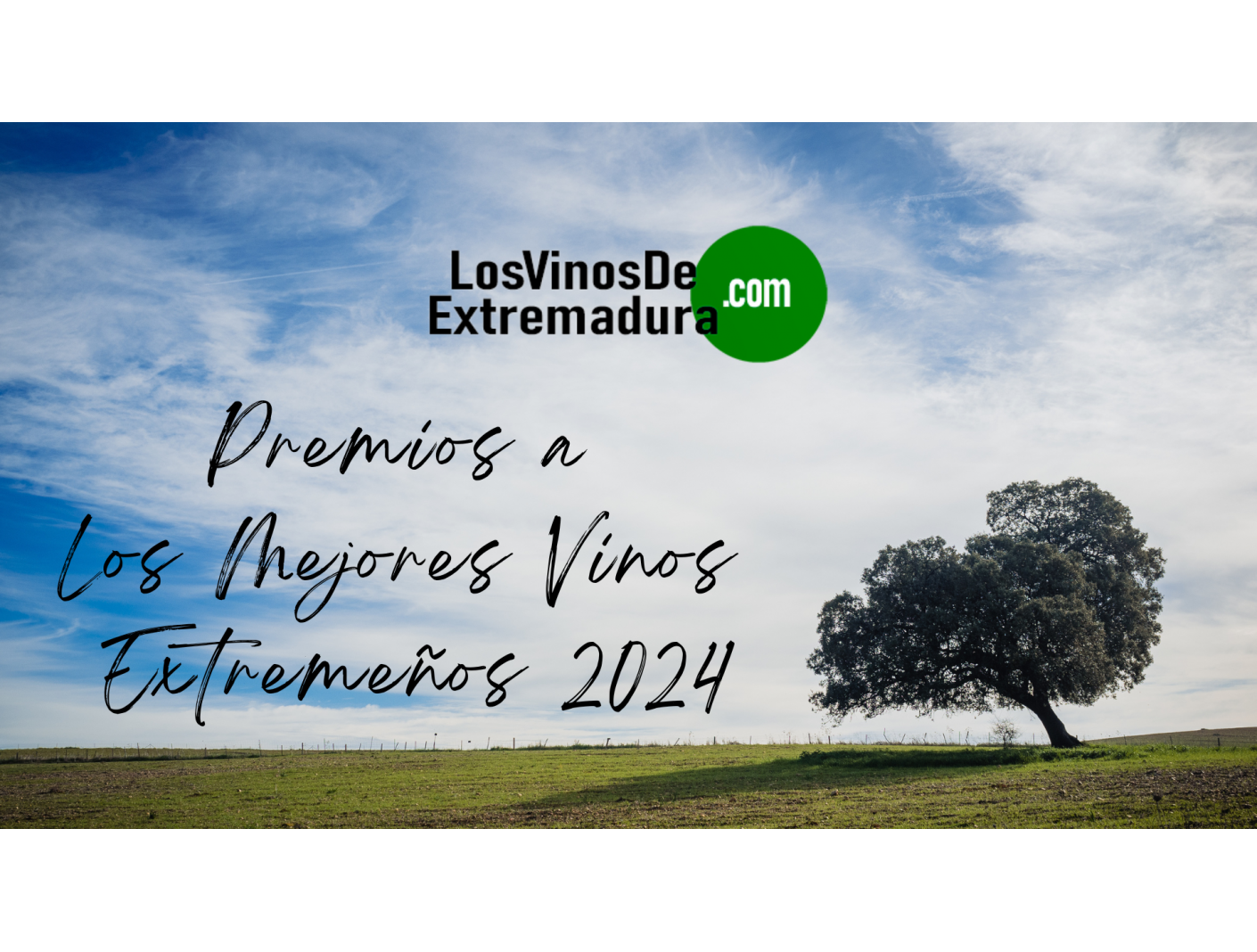 Los Mejores Vinos Extremeños de 2024 los eliges TÚ