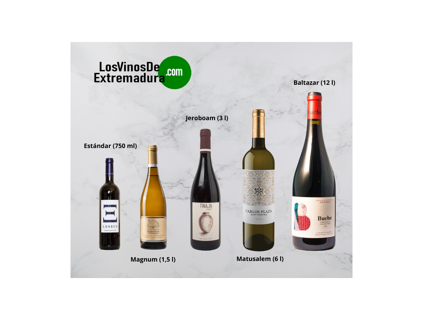 Descubre los Diferentes Tipos de Botellas de Vino: Formas y Tamaños